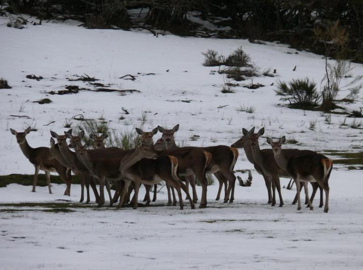 Casa Rural Ruralba Alba De Los Cardanos ภายนอก รูปภาพ